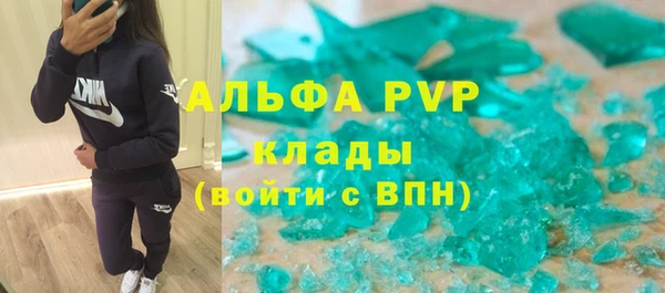 молекула духа Вяземский