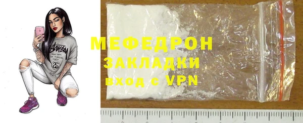 молекула духа Вяземский