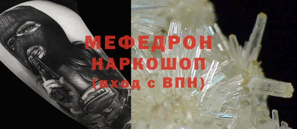 молекула духа Вяземский