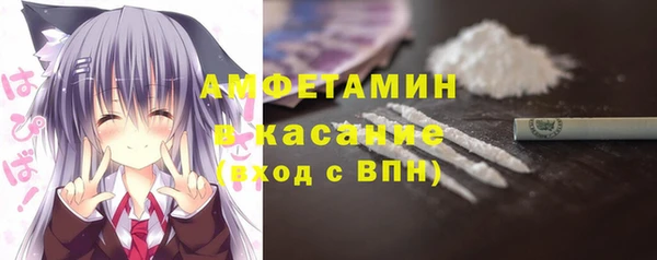 молекула духа Вяземский