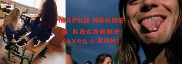 молекула духа Вяземский
