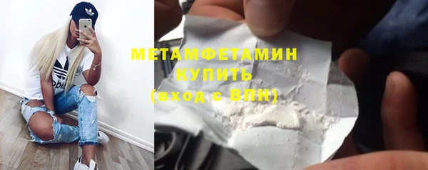 молекула духа Вяземский