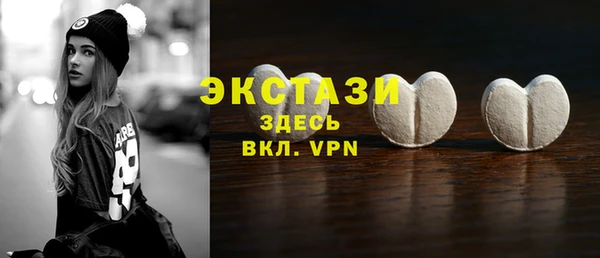 молекула духа Вяземский