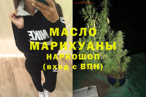 молекула духа Вяземский