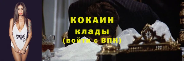 молекула духа Вяземский