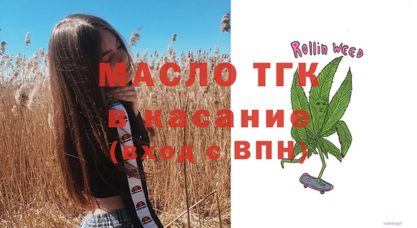 молекула духа Вяземский