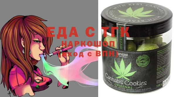 молекула духа Вяземский