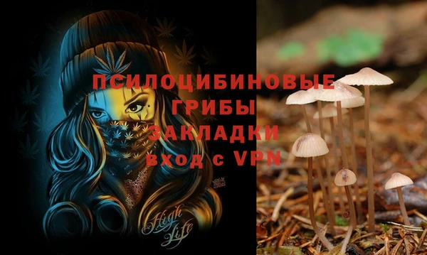 винт Вязьма