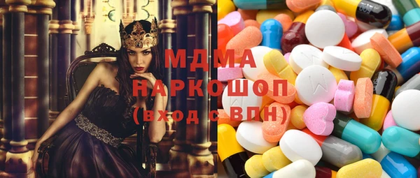 молекула духа Вяземский