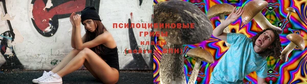 бошки Вязники