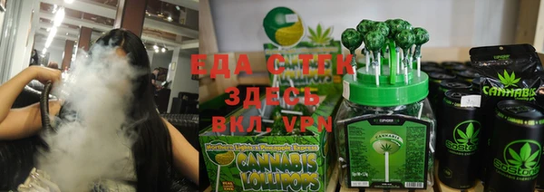 молекула духа Вяземский