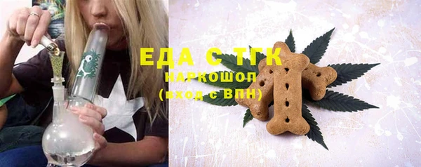 молекула духа Вяземский
