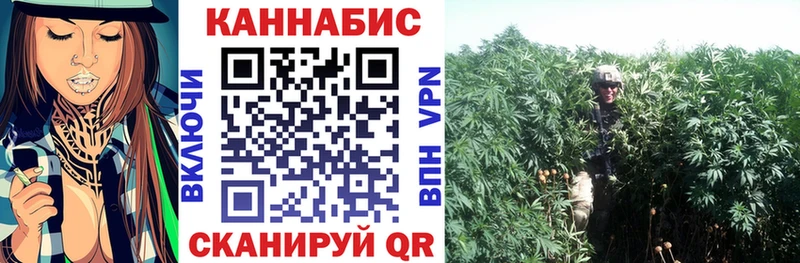 Шишки марихуана Amnesia  Купить закладки  Ардон 